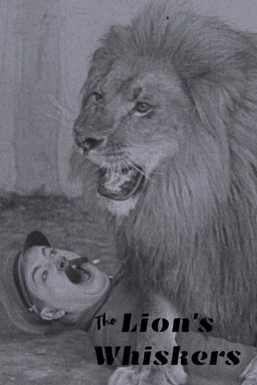 The Lion's Whiskers 1925 official movie poster