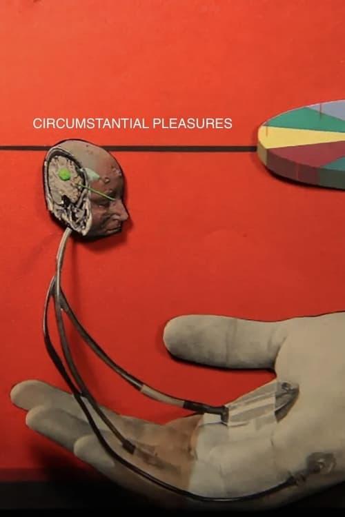 Circumstantial Pleasures 2020 official movie poster