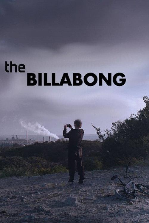 The Billabong 2010 official movie poster