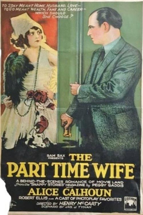 The Part-time Wife 1925 official movie poster
