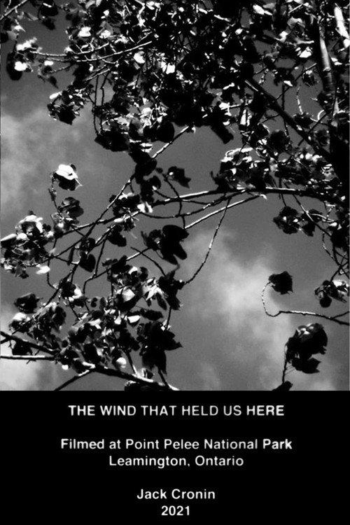 The Wind That Held Us Here 2021 official movie poster