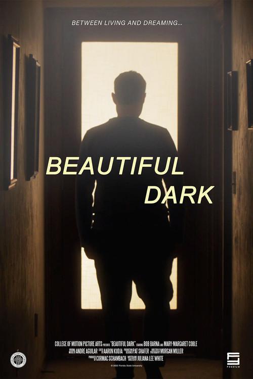 Beautiful Dark 2022 official movie poster