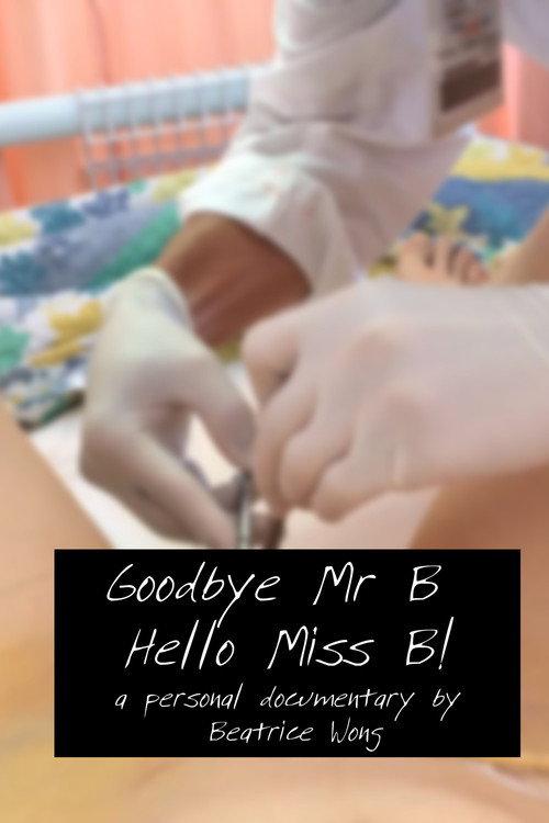 Goodbye Mr B, Hello Ms B!  official movie poster