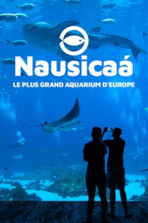 Nausicaa: The Largest Aquarium in Europe 2019 official movie poster