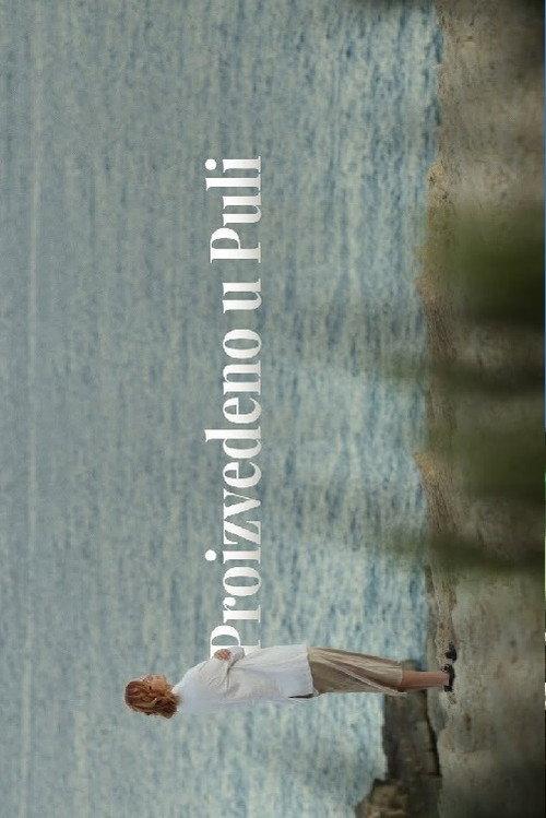 Made in Pula 2022 official movie poster