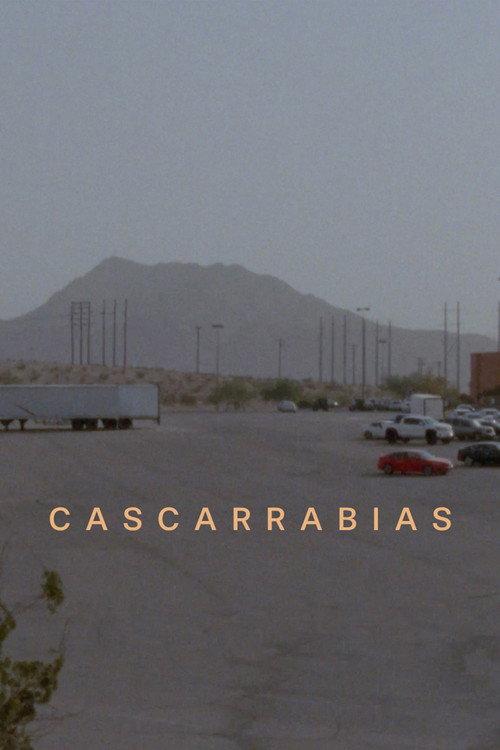 Cascarrabias 2026 official movie poster