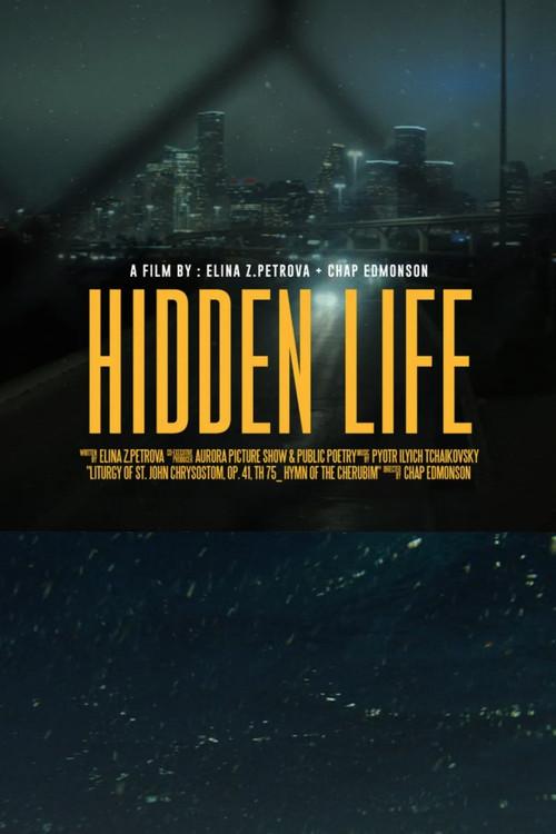 Hidden Life 2024 official movie poster