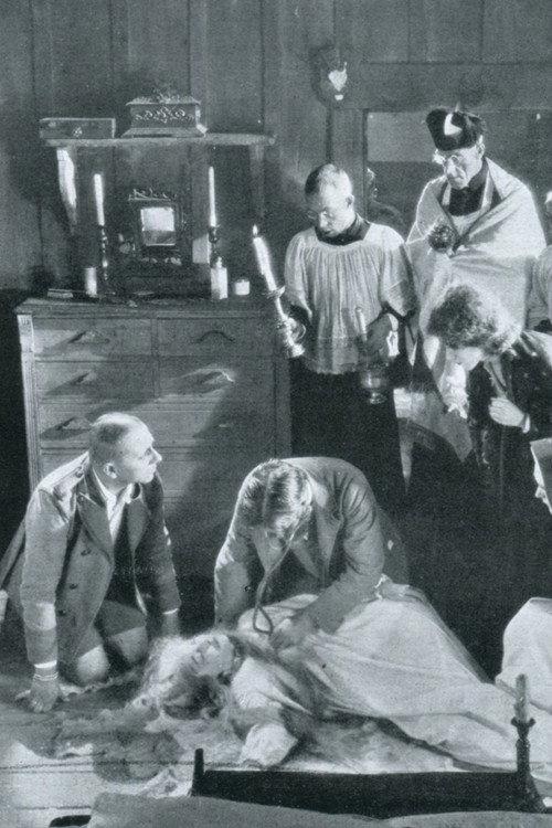 The Honeymoon 1929 official movie poster