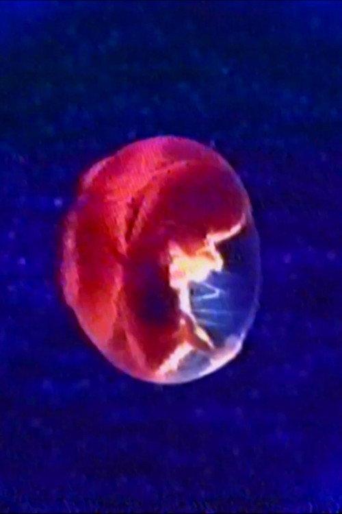 Audio and Visual Experiment 23 2025 official movie poster