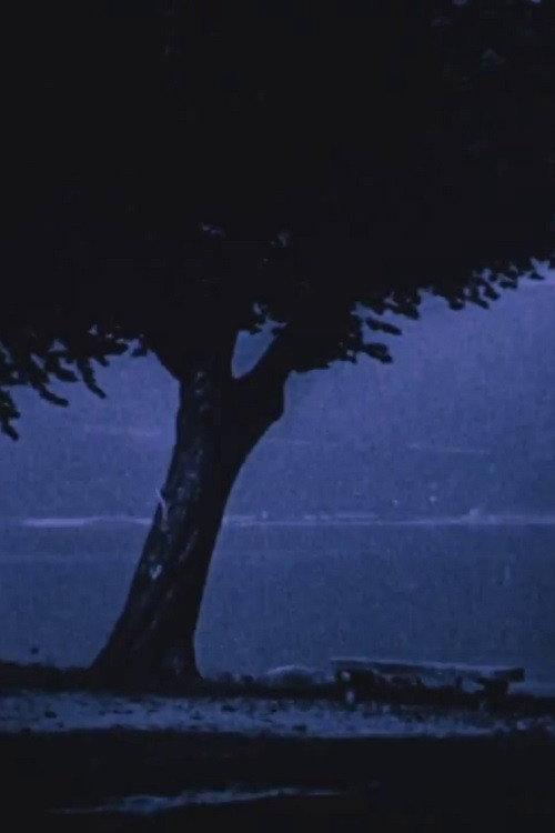 The 'Lago Maggiore' Picturesque 1913 official movie poster
