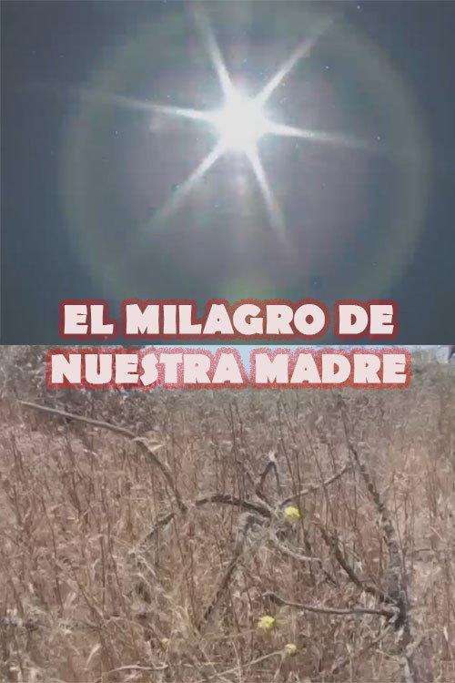 EL MILAGRO DE NUESTRA MADRE 2016 official movie poster