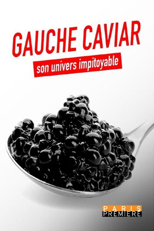 Gauche caviar, son univers impitoyable 2022 official movie poster