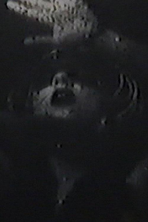 A Room 1999 official movie poster