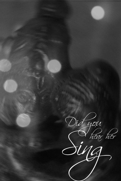 Did You Hear Her Sing? official movie poster