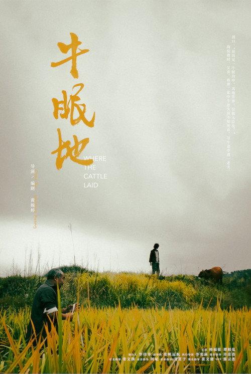 Where the Cattle Laid 2023 official movie poster