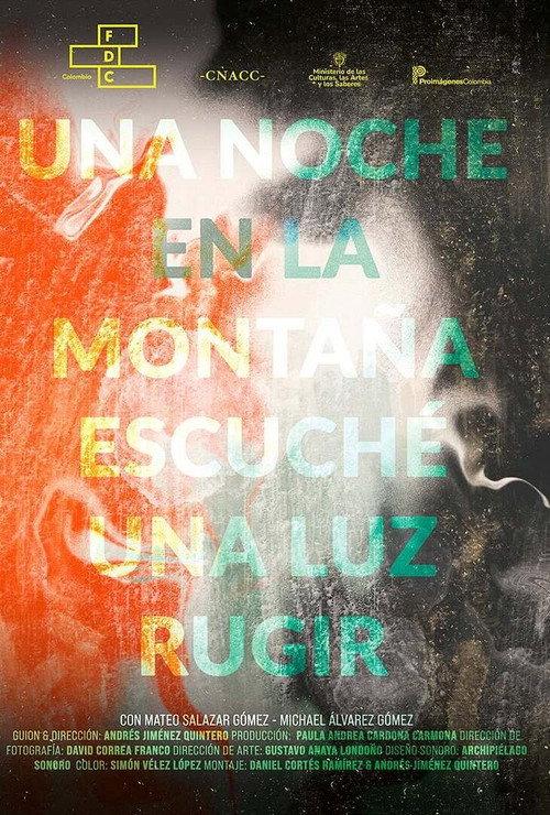 A Night in the Mountains I heard a Light Roar 2025 official movie poster