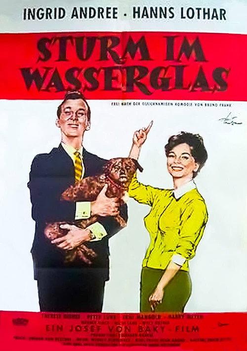Tempest in a Water Glass 1960 official movie poster
