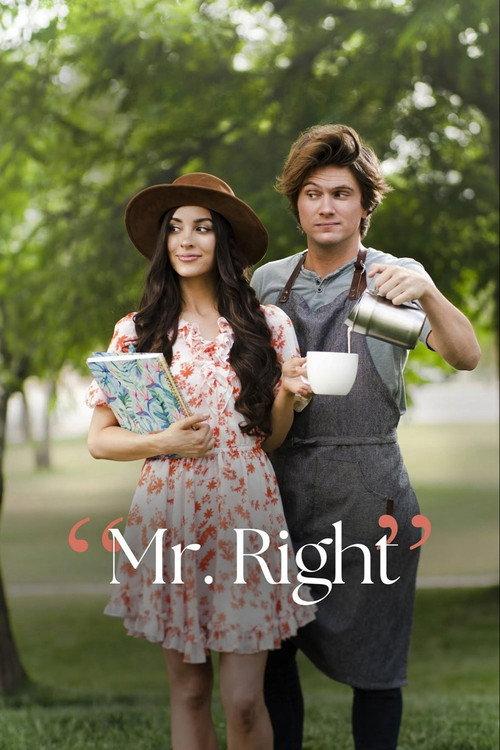 Mr. Right 2023 official movie poster