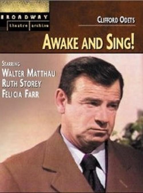 Awake and Sing! 1972 official movie poster