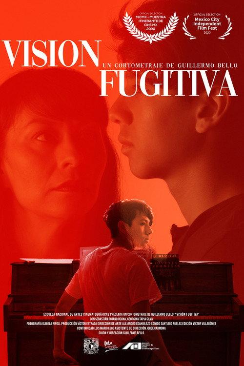 Fugitive Vision 2020 official movie poster