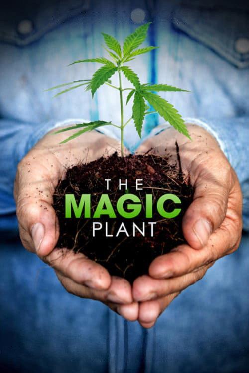 The Magic Plant 2020 official movie poster