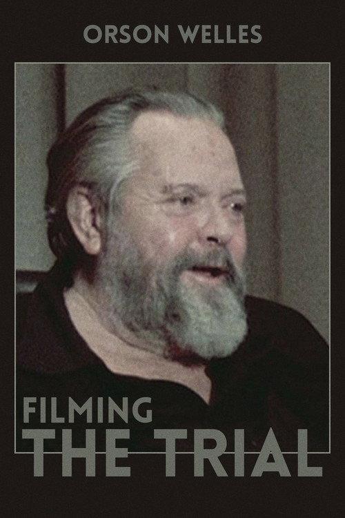 Filming 'The Trial' 1981 official movie poster