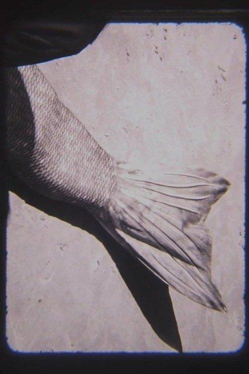 MER 2023 official movie poster