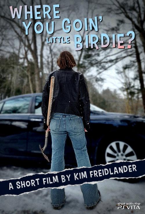 Where You Goin' Little Birdie? 2026 official movie poster
