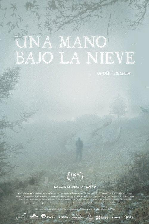 A Hand Beneath the Snow 2022 official movie poster