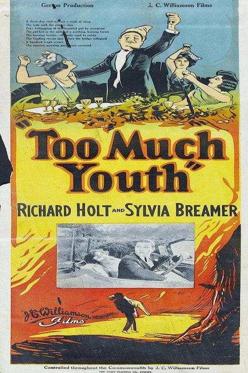 Too Much Youth 1925 official movie poster