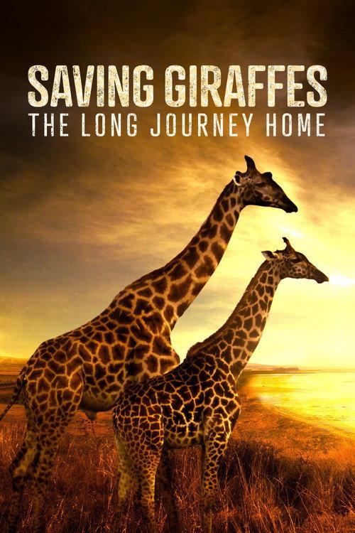 Saving Giraffes: The Long Journey Home 2022 official movie poster