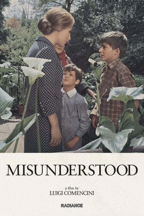 Misunderstood 1967 official movie poster