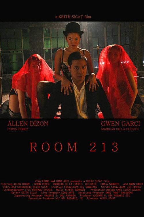 Room 213 2008 official movie poster