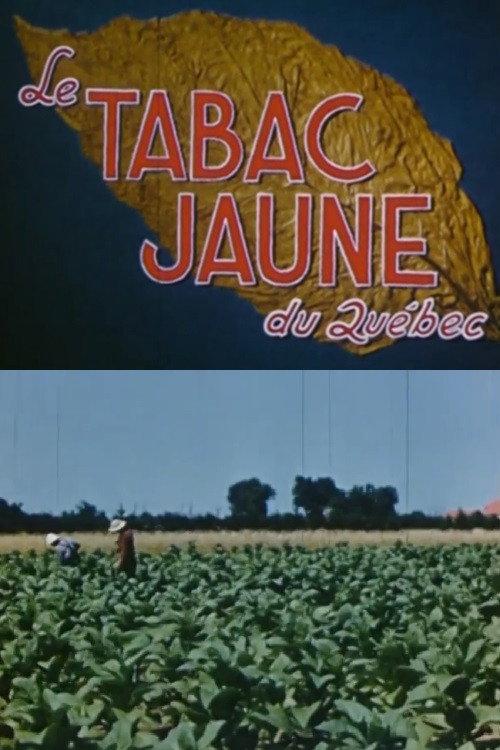 Yellow Tobacco from Quebec 1951 official movie poster