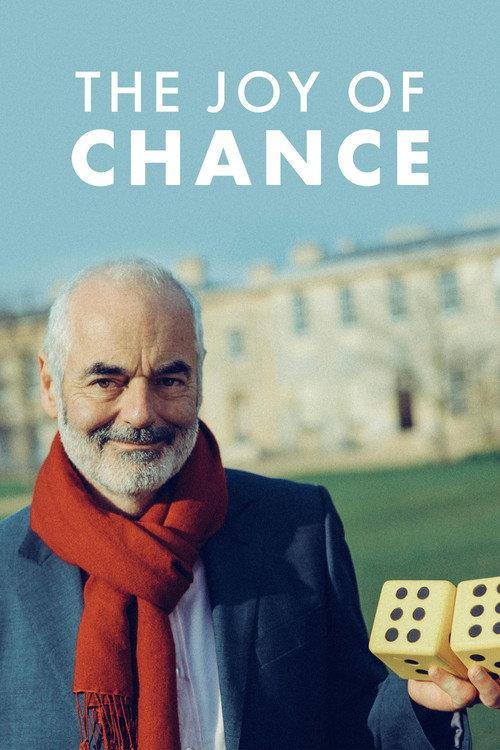 The Joy of Chance 2012 official movie poster