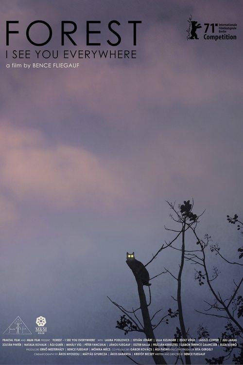 Forest: I See You Everywhere 2022 official movie poster