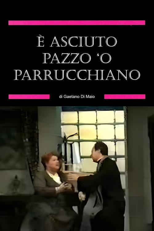 È asciuto pazzo ‘o parrucchiano 1989 official movie poster