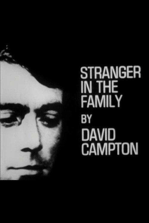 Stranger in the Family 1965 official movie poster