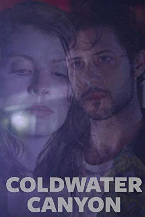 Coldwater Canyon 2016 official movie poster
