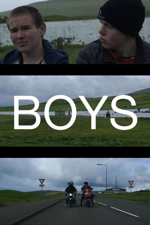 Boys 2016 official movie poster