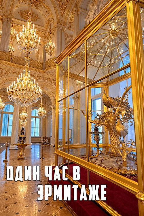 One Hour in the Hermitage 2008 official movie poster