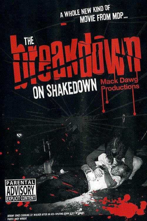The Breakdown on Shakedown 2003 official movie poster