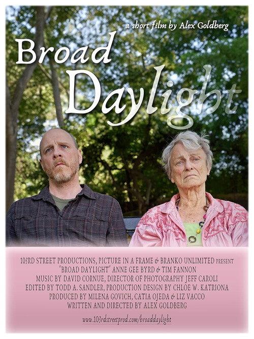 Broad Daylight 2024 official movie poster
