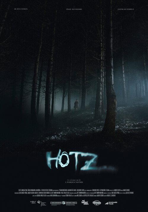Hotz 2024 official movie poster