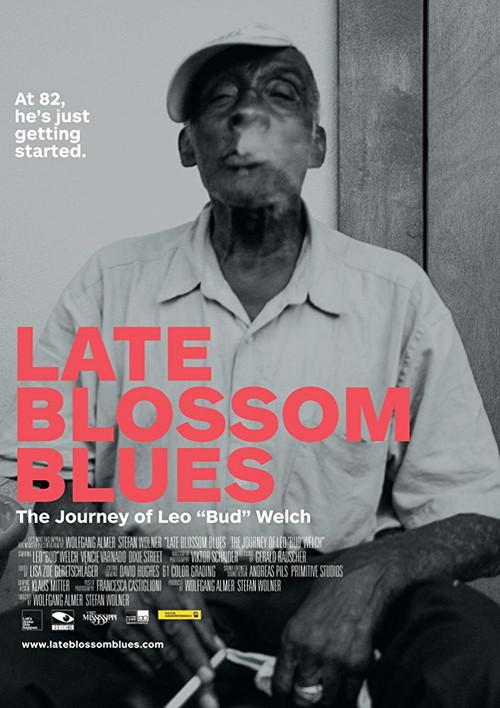 Late Blossom Blues 2017 official movie poster