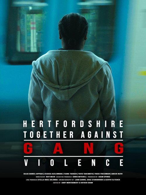 Hertfordshire Together Against Gang Violence  official movie poster