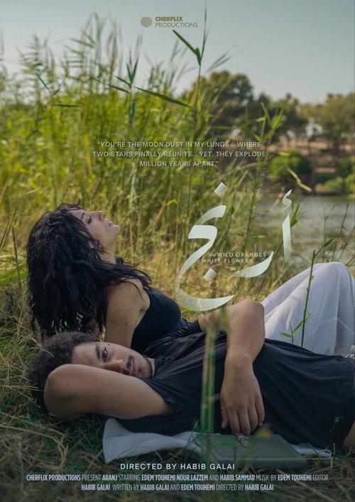 Wild Oranges and White Flowers 2027 official movie poster