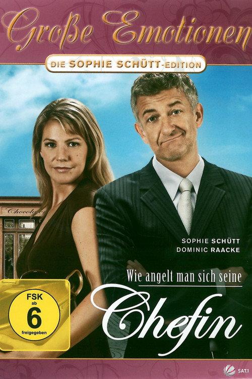 Wie angelt man sich seine Chefin 2007 official movie poster