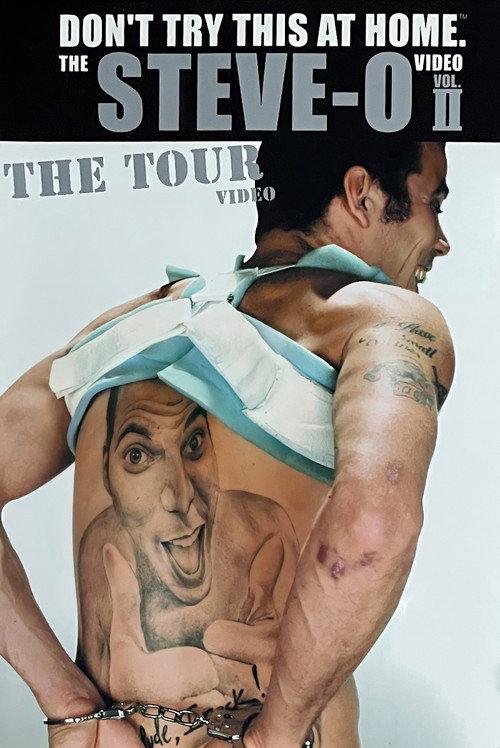 Don't Try This at Home – The Steve-O Video Vol. 2: The Tour 2002 official movie poster