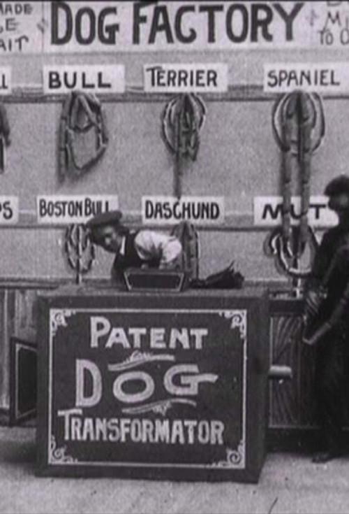 Dog Factory 1904 official movie poster